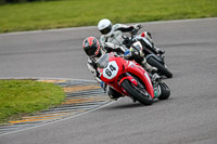 PJ-Motorsport-2019;anglesey-no-limits-trackday;anglesey-photographs;anglesey-trackday-photographs;enduro-digital-images;event-digital-images;eventdigitalimages;no-limits-trackdays;peter-wileman-photography;racing-digital-images;trac-mon;trackday-digital-images;trackday-photos;ty-croes